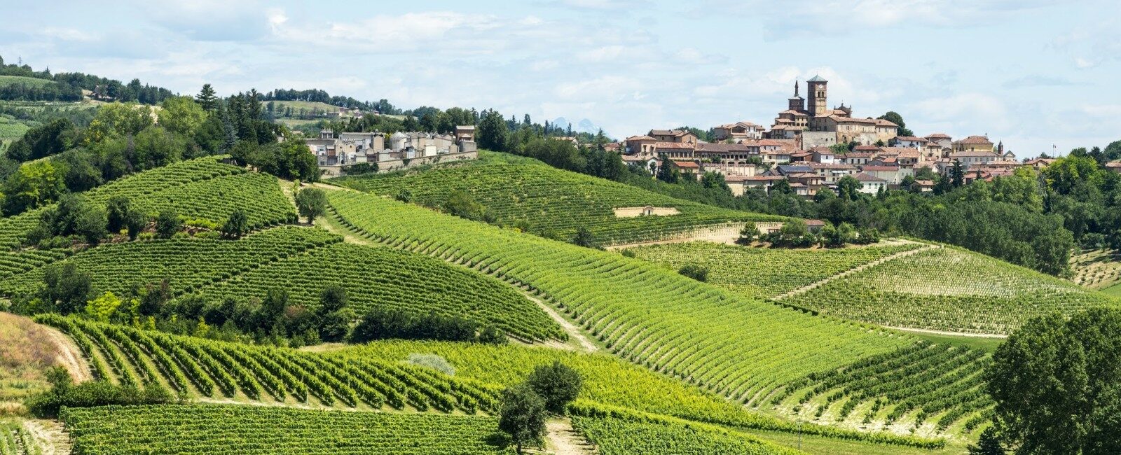 Monferratotours.it